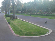 IMAG0398.jpg
