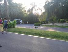 IMAG0402.jpg