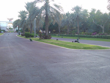 IMAG0403.jpg
