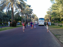 IMAG0405.jpg