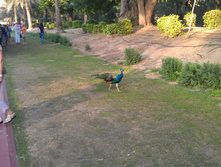 IMAG0407.jpg
