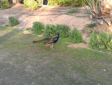 IMAG0408.jpg