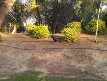 IMAG0409.jpg