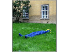 getImage (33).jpg