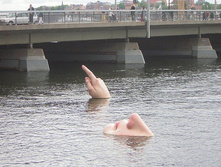 getImage (39).jpg