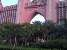 IMAG0446.jpg