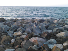 IMAG0447.jpg
