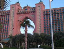 IMAG0448.jpg