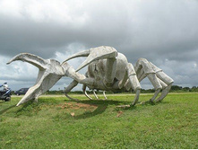 getImage (85).jpg