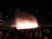 IMAG0481.jpg