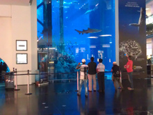 IMAG0518.jpg