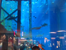 IMAG0521.jpg