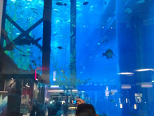 IMAG0522.jpg
