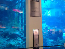 IMAG0531.jpg
