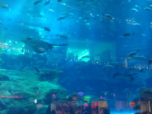 IMAG0535.jpg