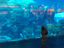 IMAG0536.jpg
