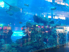 IMAG0537.jpg