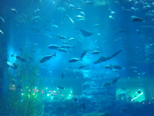 IMAG0538.jpg