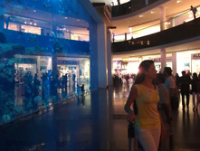 IMAG0539.jpg
