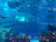 IMAG0541.jpg