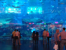 IMAG0543.jpg
