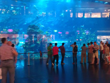 IMAG0544.jpg