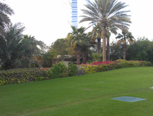 IMAG0595.jpg