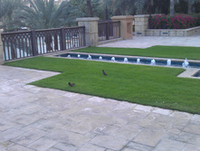 IMAG0596.jpg