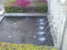 IMAG0598.jpg
