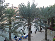 IMAG0600.jpg