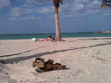 IMAG0604.jpg