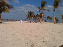 IMAG0605.jpg