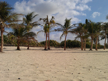 IMAG0606.jpg