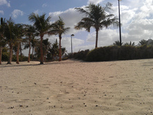 IMAG0607.jpg