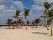 IMAG0609.jpg