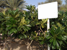 IMAG0616.jpg