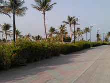 IMAG0617.jpg