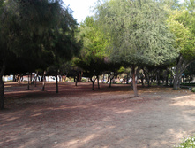 IMAG0620.jpg