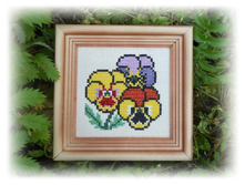 DSCN5513.JPG