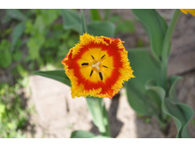 ��������� ��������