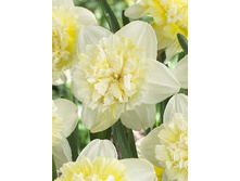 13,28���. ������� ��� ���� (���������� ������ 5��, ��� 10��).jpg