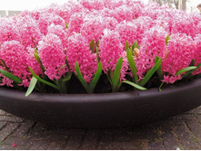 �� ���.jpg