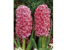 ���� ����.jpg