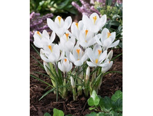 ����� � ���.jpg