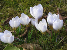 ��� ����.jpg