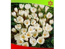 ���� ����.jpg