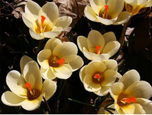 ���� �����.jpg