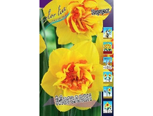 13844431.Narcissus_Magellan.jpg