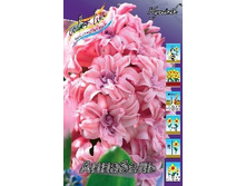 13845783.Hyacinth_Annabelle.jpg