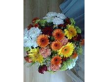 27 ������